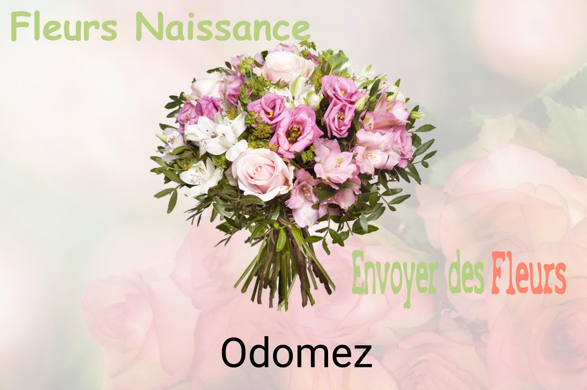 Bouquet de fleurs de naissance livré à Odomez